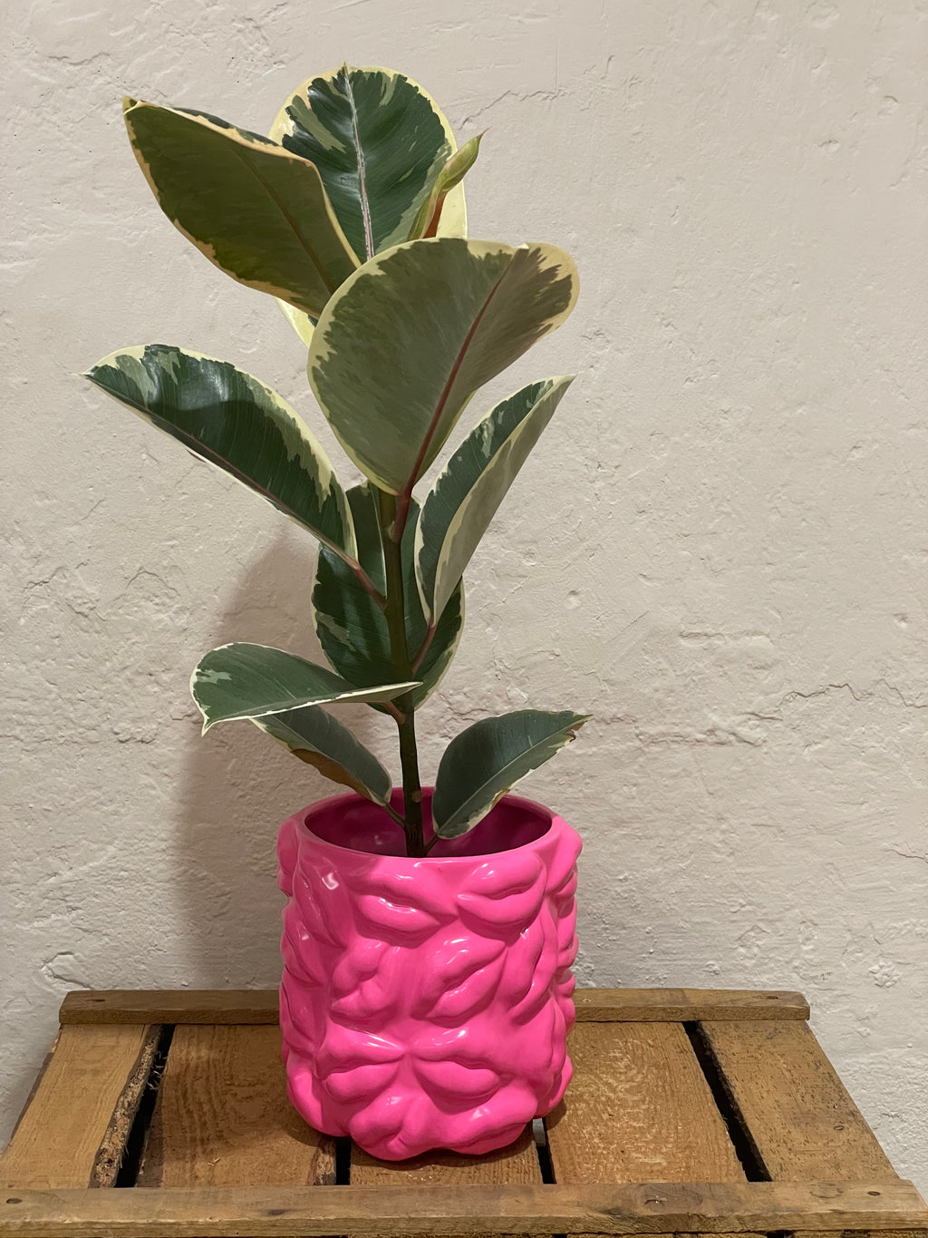 Statement-Übertopf "Kiss Me" Hot Pink